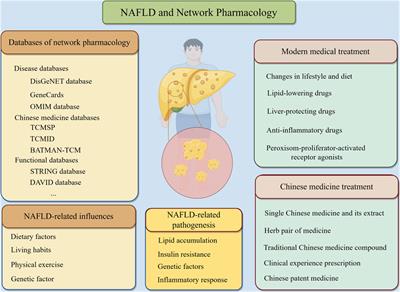 Chinese medicine in the treatment of non-alcoholic fatty liver disease based on network pharmacology: a review